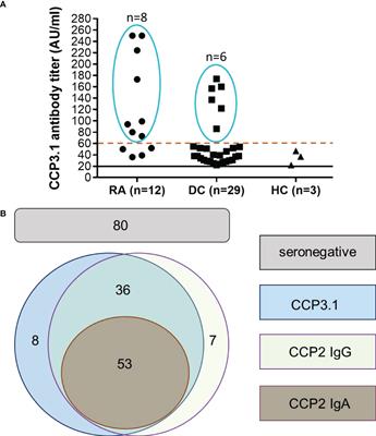 The diagnostic and prognostic value of IgG and IgA anti-citrullinated protein antibodies in patients with early rheumatoid arthritis